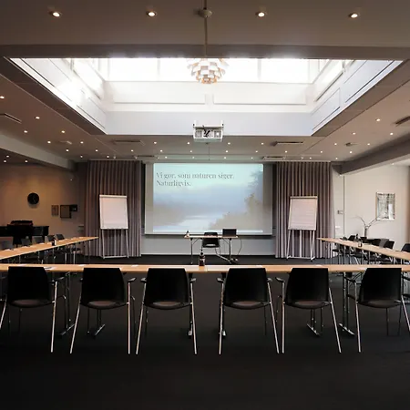 费德利克斯达尔辛纳特酒店及会议中心 3*